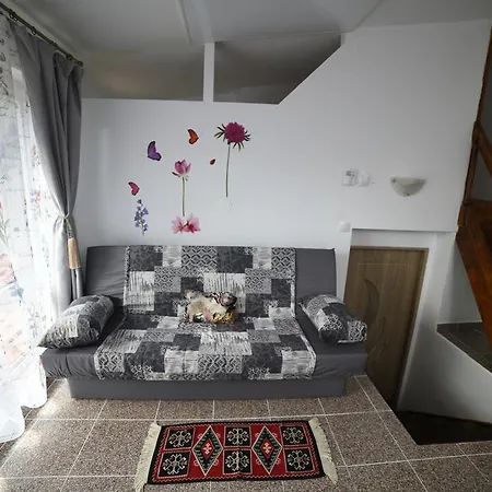 Apartament In Vila Secession Oradea Exterior photo